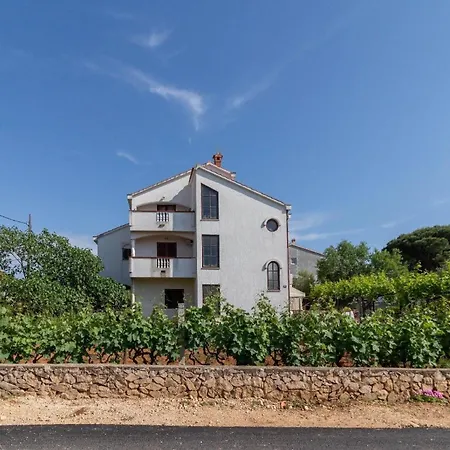 Daire Ferienwohnung Fuer 4 Personen Ca 50 Qm In Privlaka, Dalmatien Norddalmatien - B62441