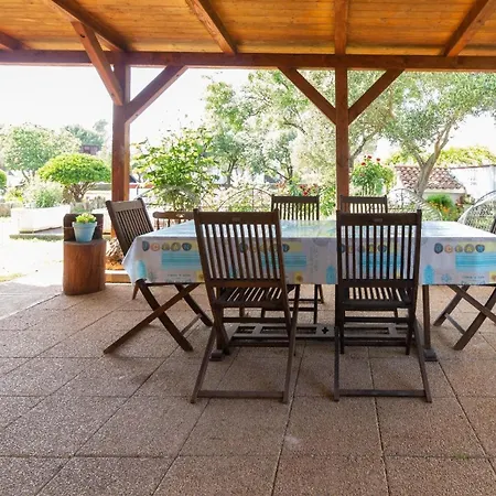 Daire Ferienwohnung Fuer 4 Personen Ca 50 Qm In Privlaka, Dalmatien Norddalmatien - B62441
