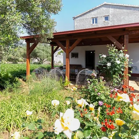 Ferienwohnung Fuer 4 Personen Ca 50 Qm In Privlaka, Dalmatien Norddalmatien - B62441